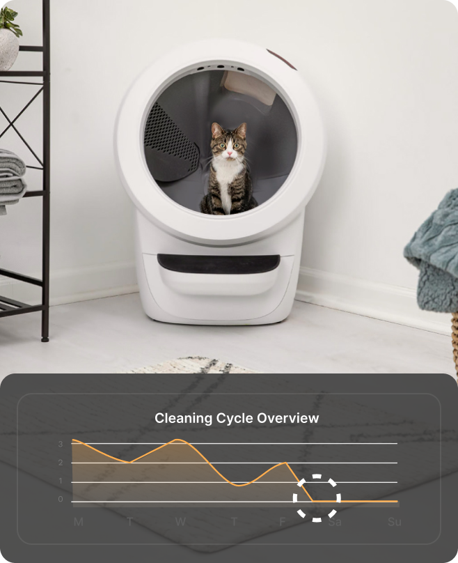 Brown and white cat using the Litter-Robot 4 in a laundry room.
