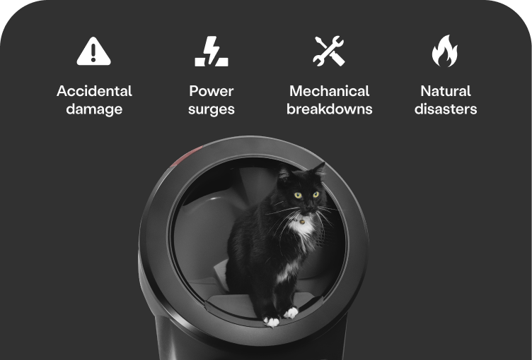 A black cat standing in a Litter-Robot 4.