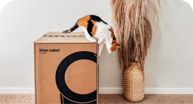 A cat standing on top of a Litter-Robot box.