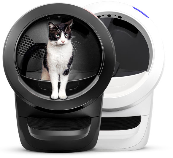 An image of an orange, black, and white cat standing inside a white Litter-Robot.