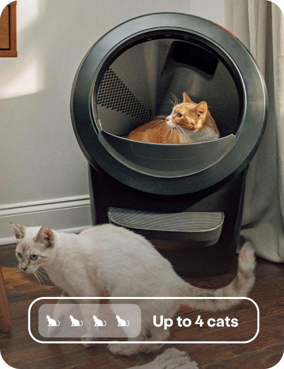 A cat sitting in a Litter-Robot 4 and another cat standing near it.