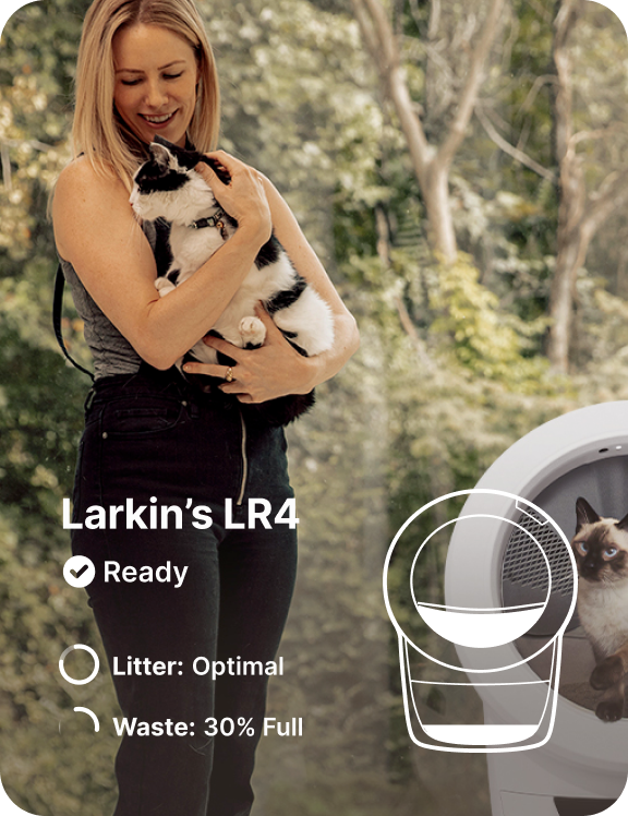 A woman holding a cat with another cat in Litter-Robot 4.