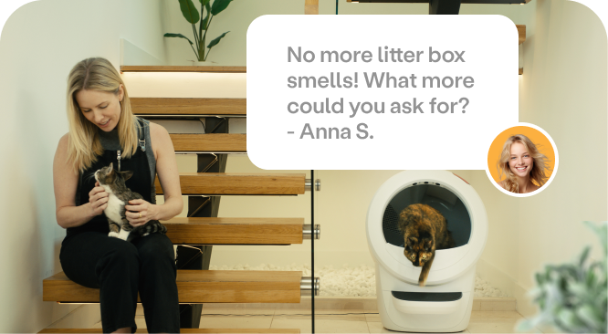 An image of a woman sitting on the stairs, petting a white and brown cat. There’s a white Litter-Robot 4 next to them with another cat exiting.
