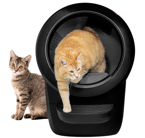 An image of an orange cat exiting a black Litter-Robot 4 as a brown striped cat sits next to it.