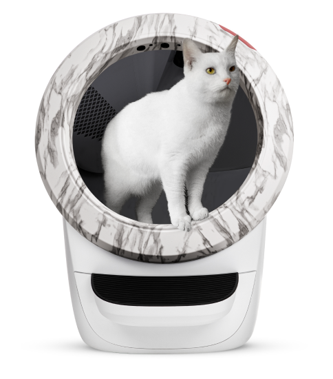 An image of a white cat standing in a white Litter-Robot 4 with a marble colored bezel.