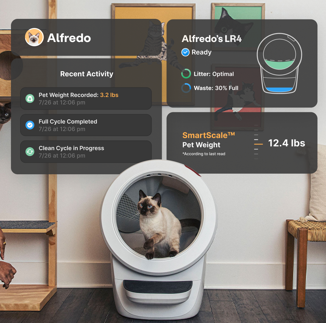 Cat exiting Litter-Robot 4 with overlay of sample mobile app update status screens.