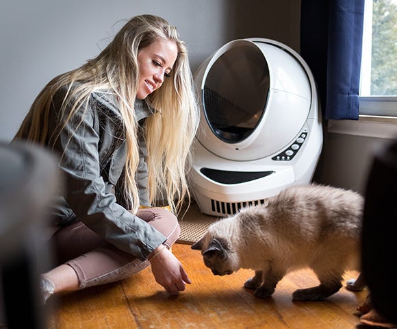 cat afraid of litter robot