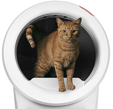 my cat won t use the litter robot