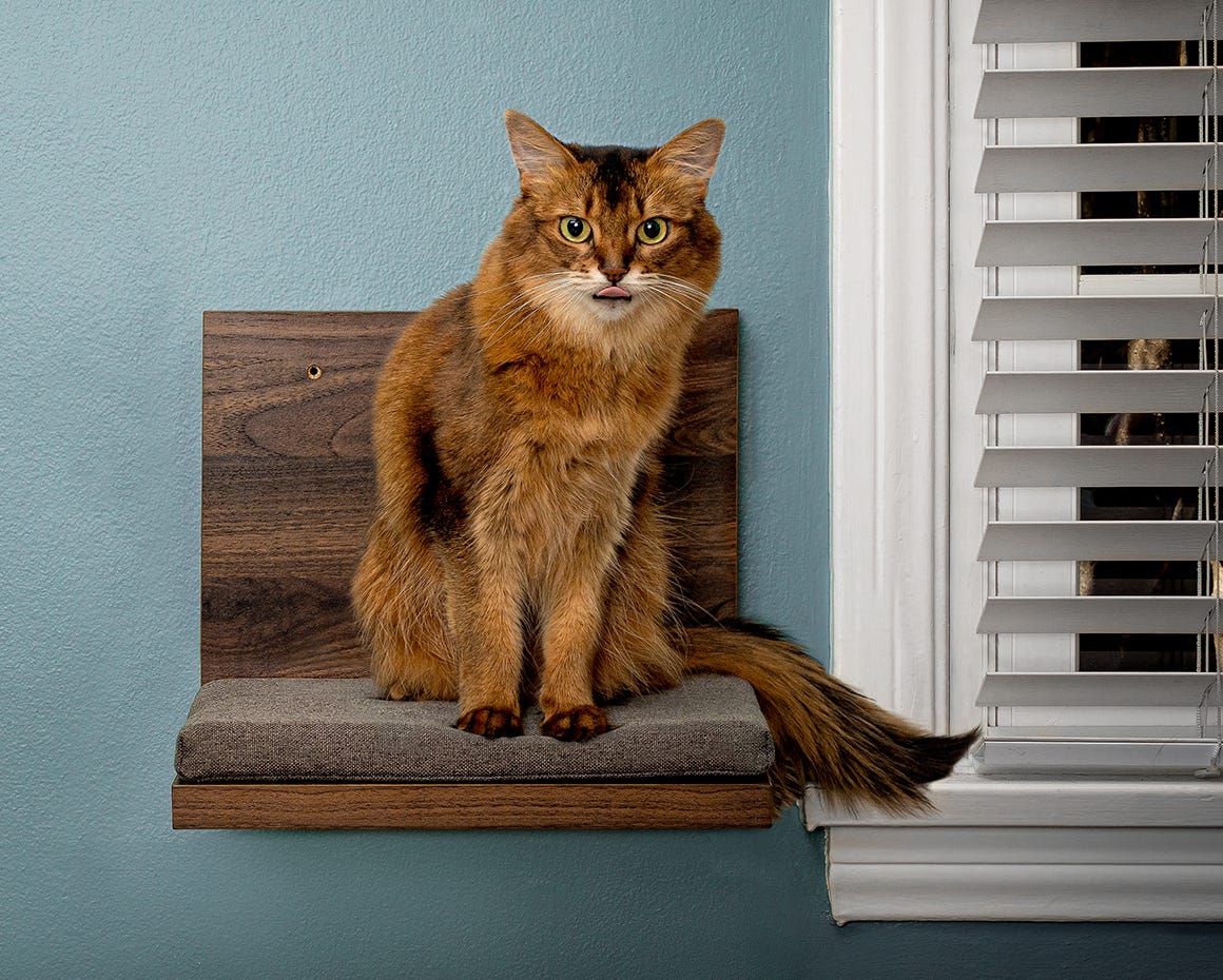Cute Cat Bathroom Shelf Organizer – CatCurio Pet Store