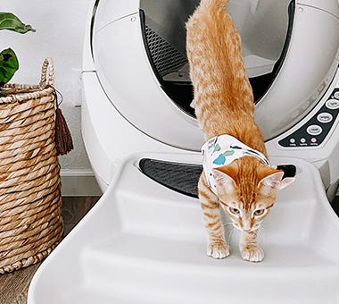 litter robot 3 connect essentials bundle self cleaning