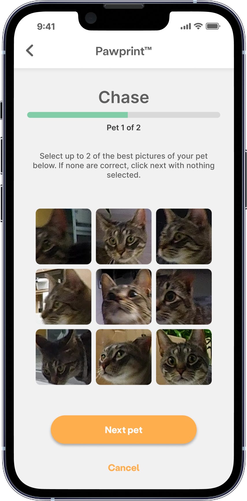 Whisker app screen showing a grid of cat images