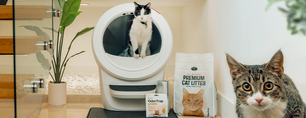 Litter systems outlet for cats